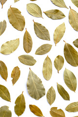 Dried bay leaves on white background. - obrazy, fototapety, plakaty