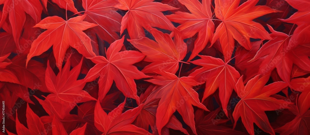 Poster vivid close-up view of numerous crimson leaves clustered on a tree branch in autumn setting