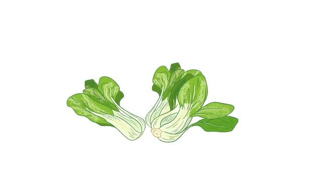 Raw whole Pak choi vegetables