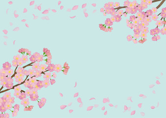 水彩風　満開の桜と花びら　背景