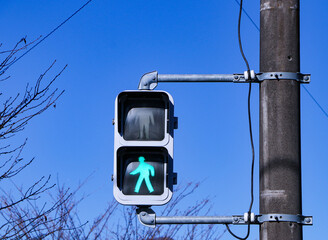 Traffic lights with green light lit. Sign or symbol pedestrians allowed crossing road attached to...