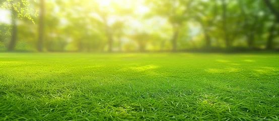 Photo sur Plexiglas Vert-citron Beautiful summer landscape with freshly cut grass in the morning light and a light fog provides a panoramic spring background. Made with generative AI technology.