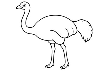 line art of a ostrich