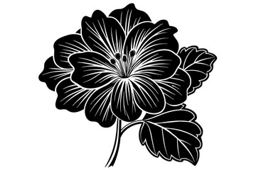 geranium silhouette vector illustration