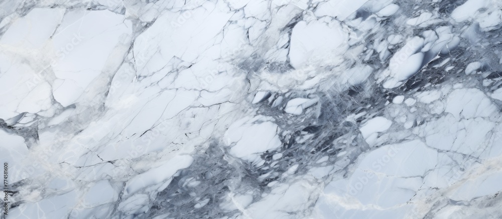 Poster close-up view showcasing a marble surface with an intricate black and white pattern, creating a visu