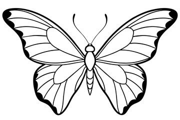 line art of a butterfly