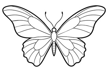line art of a butterfly