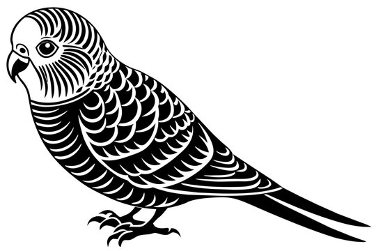 recommend clip art: budgerigar silhouette vector illustration