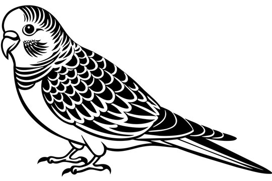 recommend clip art: budgerigar silhouette vector illustration