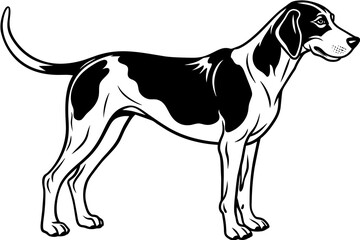american foxhound silhouette vector illustration