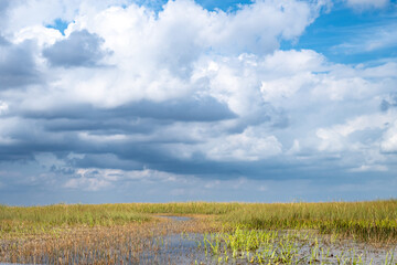 Cloudy skies above the open Florida Everglades grasslands
