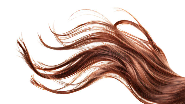 Brown hair in shape isolated on a white background,