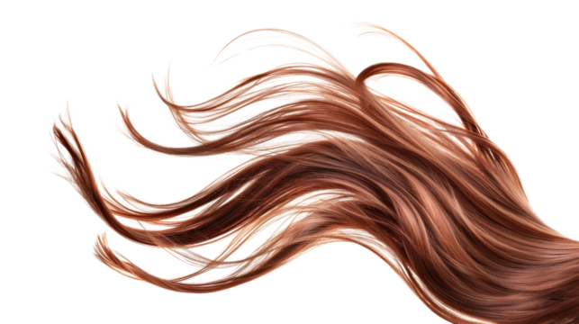 Brown hair in shape isolated on a white background,