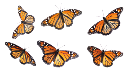 
set of butterflies white background transparent 