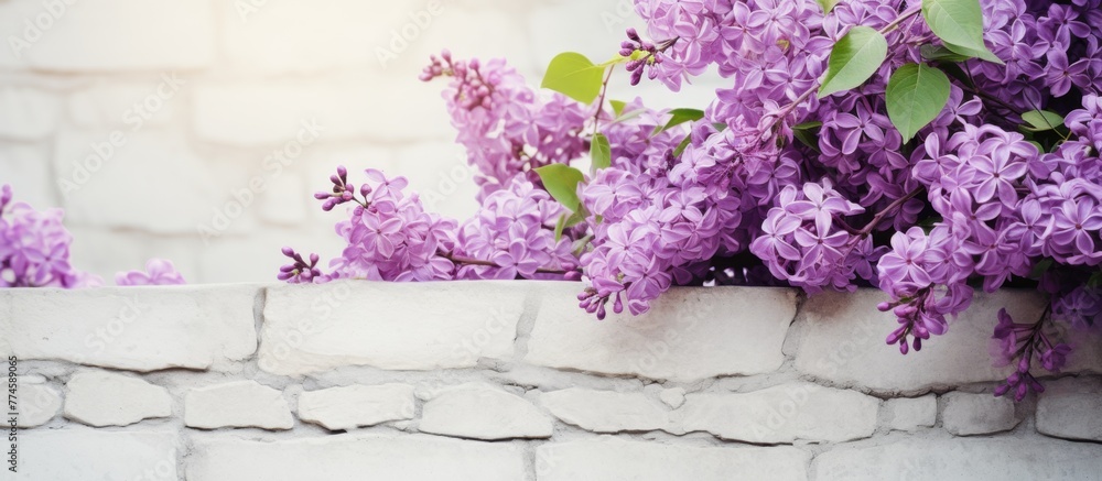 Poster purple flowers in a simple white vase placed on a textured brick wall background, creating a rustic 