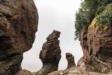hauts rochers érodés en bord de mer lors d'une marée basse avec des arbres au sommet lors d'une...