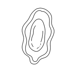 A drawing of a shell with a letter O on it. The shell is drawn in a wavy line and the letter O is drawn in a circle