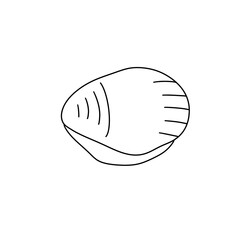 A white shell with a black line on it. The shell is drawn in a very simple way