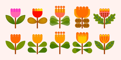 Set of Hand drawn shapes and doodle floral, flowers and plants vector illustration. Exotic abstract modern design element for poster, cards and prints.