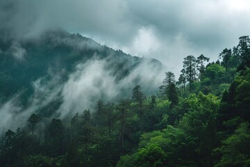 A misty mountain forest scene, the fog weaves through the trees, creating a mystical and serene atmosphere