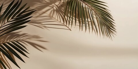 Fototapeta na wymiar Tropical palm leaves on beige background with copy space