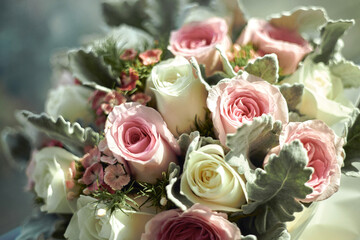 Elegant Roses-  A close-up view of fresh, assorted roses in soft lighting.