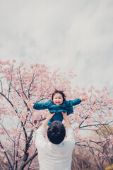 桜と高い高いされる子ども