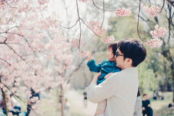 桜を見る親子 - obrazy, fototapety, plakaty