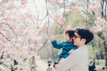 桜を見る親子