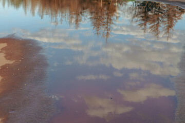 vue sur un étang d'eau calme réfléchissant un paysage de cime d'arbre et de nuage