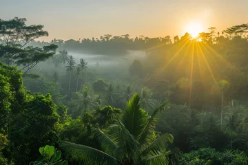 Wandaufkleber photo sunrise over bali jungle © yuniazizah
