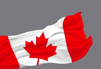 Canada flag waving in the wind isolated on grey background 3D render - 774605293