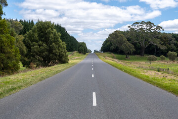 Fototapeta na wymiar Background of an open Road, Lined by large gum trees: A picturesque view of an asphalt road stretching straight ahead by tall eucalyptus. A serene drive through the countryside in rural Australia.