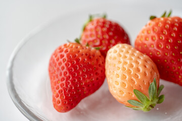 いちご食べ比べ