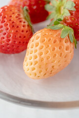 いちご食べ比べ