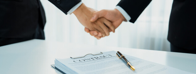 Two business executive shake hand in boardroom, sealing agreement merging two company. Handshake...