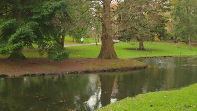 The water flows between the trees of the botanical gardens park in Dublin.
