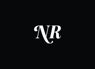 NR Creative modern unique logo and initial logo