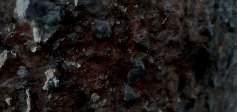 red tree bark texture skin wood oak