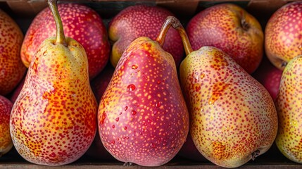   A close-up photo of a box filled with pears and pomegranates, with visible yellow spots
