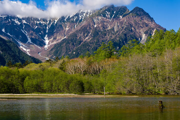Shallow lake in front of forest and towering snow covered peaks (Hotaka Range, Kamikochi, Japan)