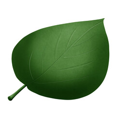 green leaf 