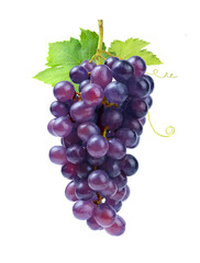 Ripe grape cluster with leaves isolated on white background.