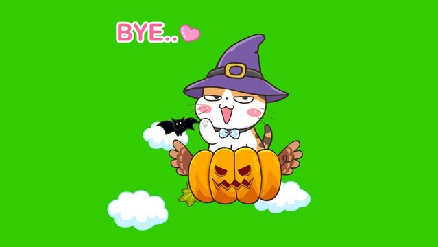 Halloween Cat animation on green screen