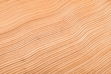 Background of dried palm frond, close up. - 774630009