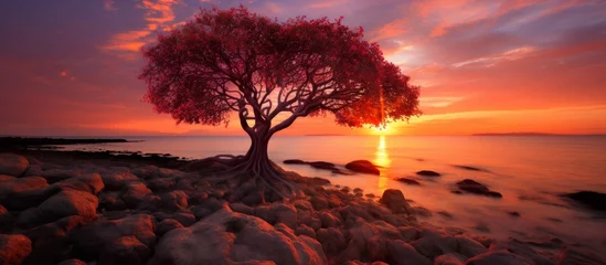 Tuinposter A solitary tree stands on the sandy beach, silhouetted against the vibrant colors of the sunset reflecting on the water © AkuAku