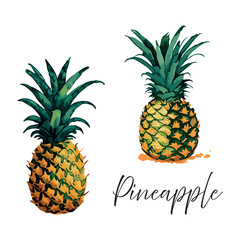 Pineapple in watercolor style