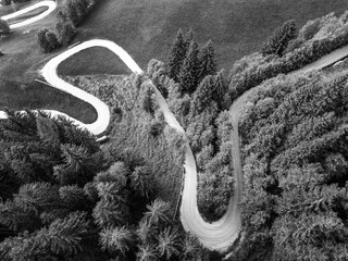 Curvy country road in the alpine mountain forest. Aerial view from drone.. Black and white image. - 774637212