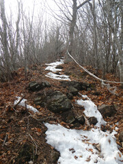 鯨山の登山道 岩手県