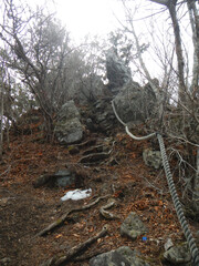 鯨山の登山道 岩手県